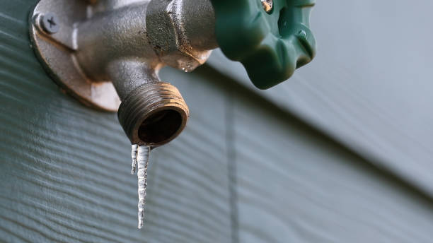 Best Plumbing Installation Services  in Elko, NV